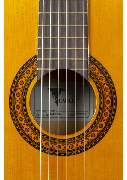 Klasik Gitar  FAC-501CEQ