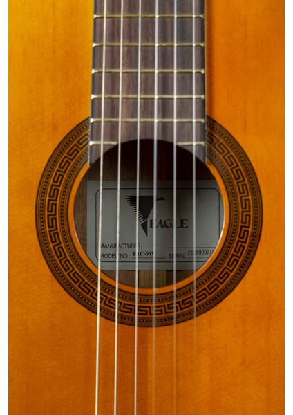 Klasik Gitar FAC-603 fiyatları