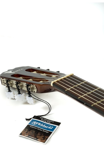 Klasik Gitar FAC-603 modelleri