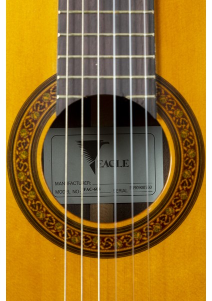 Klasik Gitar  FAC-604