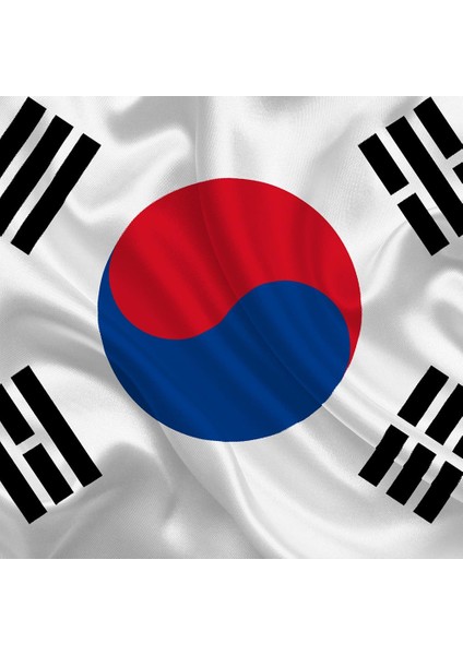 Güney Kore Gönder Bayrağı Raşel Kumaş 70 x 105 cm fiyatları