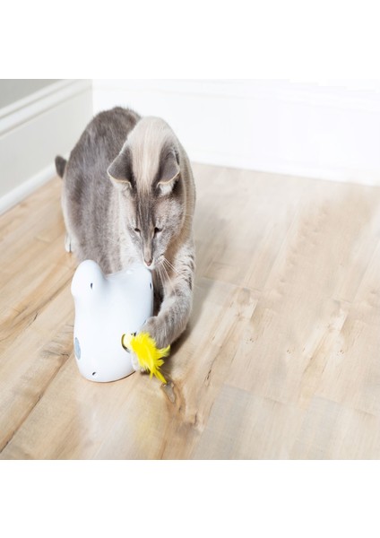 Petsafe Kuş İnteraktif Kedi Oyuncağı
