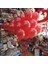 Kırmızı Metalik Balon 10 Adet 1