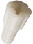 Felix Sposa FL163 Blender Motor Hareket Aktarıcı (Kaplin) 1