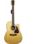 Elektro Akustik Gitar FAW-955EQ 1