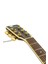 Elektro Akustik Gitar FAW-955EQ 4