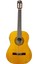 Klasik Gitar  FAC-501CEQ 1