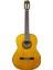 Klasik Gitar  FAC-604 1