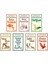 Jose Mauro De Vasconcelos 7 Kitap Set - Şeker Portakalı - Güneşi Uyandıralım - Delifişek - Yaban Muzu - Kardeşim Rüzgar Kardeşim Deniz - Çıplak Sokak - Kırmızı Papağan 1