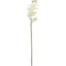 Dekorsende Yapay Phalaenopsis Orkide Beyaz Gerçek Dokunuş