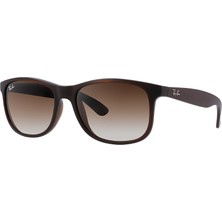 Ray-Ban RB4202 6073 13 Erkek Güneş Gözlüğü