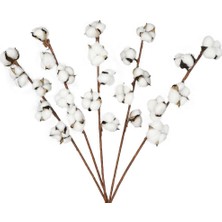 Nettenevime Doğal Pamuk Çiçeği 5ADET 5 Li Kuru Çiçek 56CM Yapay Çiçek