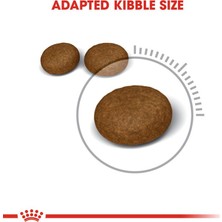 Royal Canin Hair And Skin Care Kuru Kedi Maması 2 kg