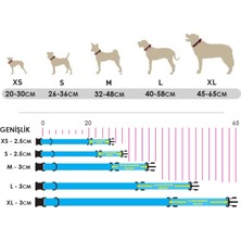 Utd Pet Toco Köpek Boyun Tasması