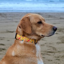 Utd Pet Yellowdoggy Köpek Boyun Tasması