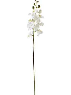 Dekorsende Yapay Orkide Dalı Beyaz 75 cm