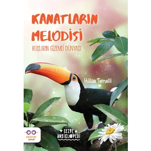 Kanatların Melodisi - Hülya Temelli