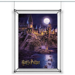 Harry Potter Duvar Poster Film 1 2 3 4 5 6 7