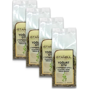 Istanbul Baharat Yoğurt Otu (Yapışkan Otu) 4 x 50 gr