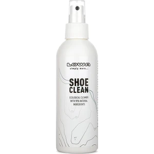 Shoes Clean