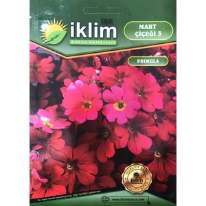 Karahasanoğlu Tarım Mart Çiçeği Çiçek Tohumu 3 - Primula Acaulis (~ Takribi 30 Tohum)