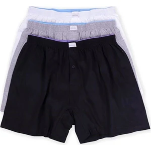 Erkek Havlu Bel Battal Boxer 3'lü -183