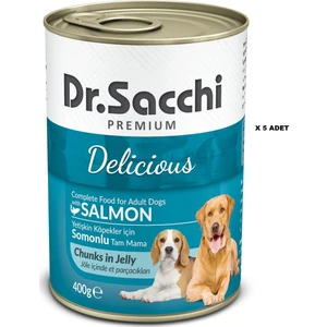 Dr. Sacchi Dr.sacchi Konserve Köpek Somonlu 400GR x 5 Adet