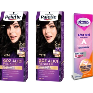 Palette Saç Boyası 1.0 Siyah 2 Adet