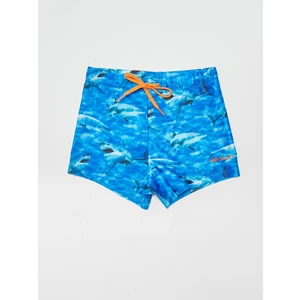 LC Waikiki Erkek Çocuk Mayo