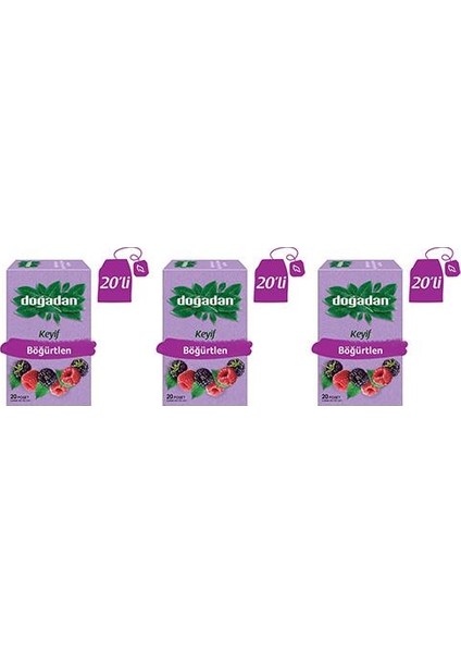 Böğürtlenli Karışık Meyve Çayı x 3