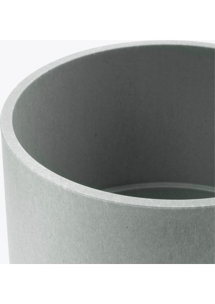 Nypon Gri Saksı 12 cm 40395617