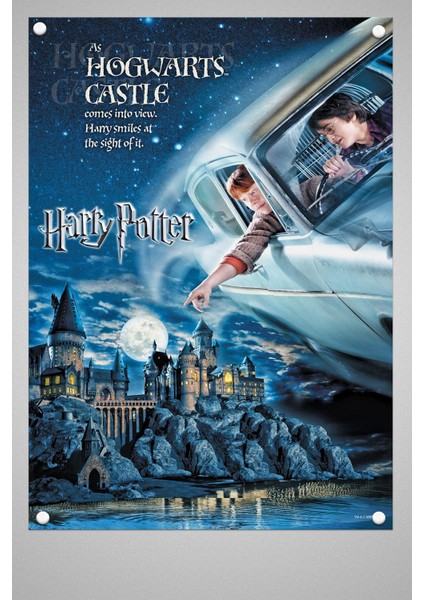 Harry Potter Duvar Poster Film 1 2 3 4 5 6 7