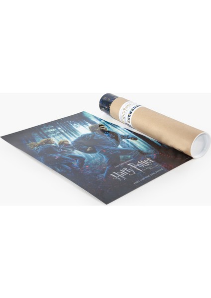 Harry Potter Duvar Poster Film 1 2 3 4 5 6 7