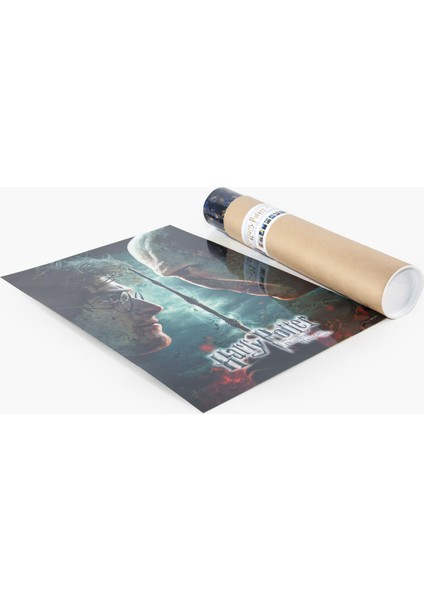 Harry Potter Duvar Poster Film 1 2 3 4 5 6 7
