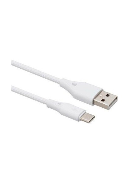 Intouch 2.4 A Type-C Şarj ve Data Kablosu 1 mt