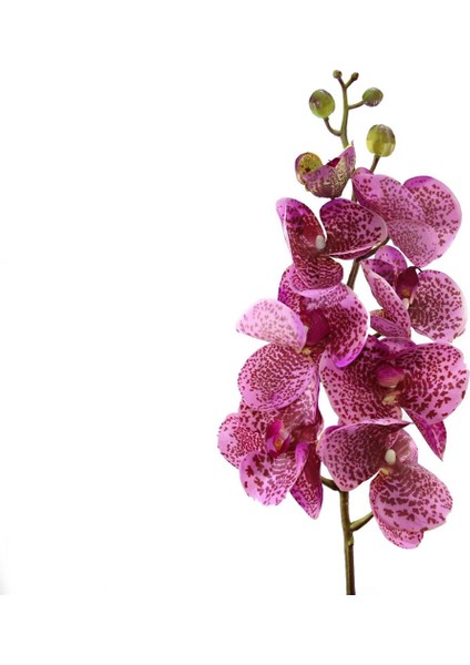 Yapay Orkide Dalı Gerçek Dokunuş Mor Benekli Jumbo fiyatları