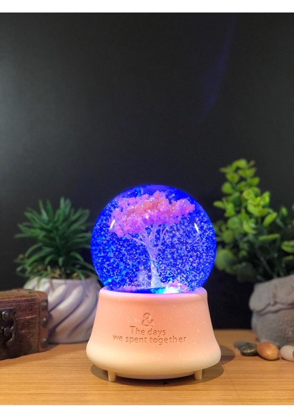 Çiko Toys Ağaç Altında Sevimli Çift Müzikli Işıklı Püskürtmeli Kar Küresi Büyük Boy