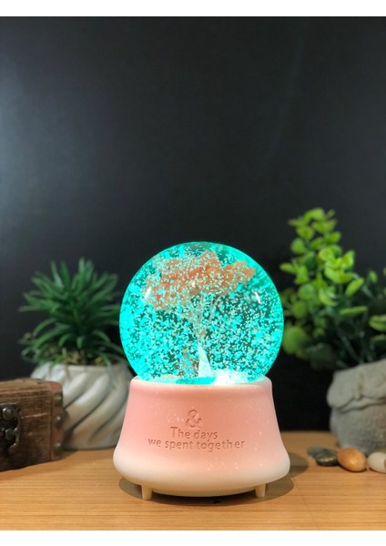Çiko Toys Ağaç Altında Sevimli Çift Müzikli Işıklı Püskürtmeli Kar Küresi Büyük Boy