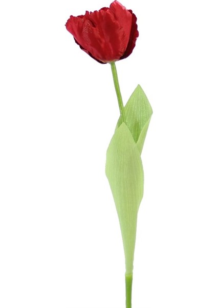 Yapay Tekli Lale Dal Kırmızı