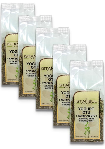 Istanbul Baharat Yoğurt Otu (Yapışkan Otu) 5 x 50 gr