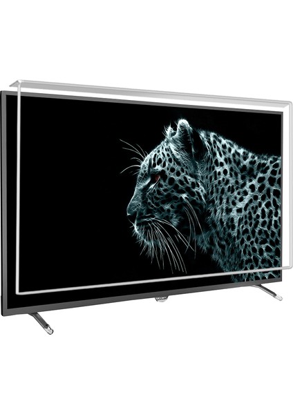 Axen Ax40dab13 Tv Ekran Koruyucu / Ekran Koruma Paneli