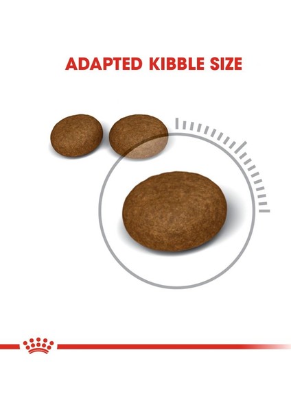 Hair And Skin Care Kuru Kedi Maması 2 kg