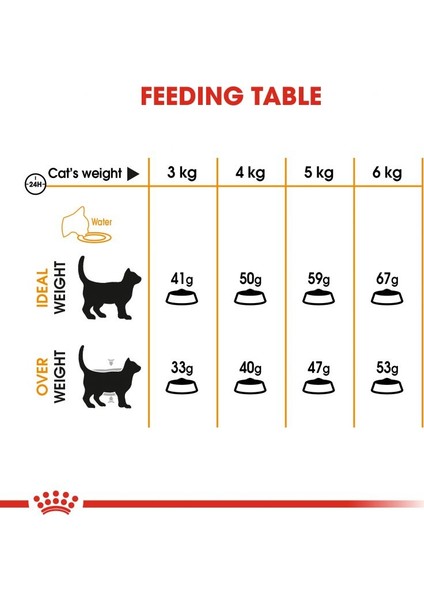 Hair And Skin Care Kuru Kedi Maması 2 kg