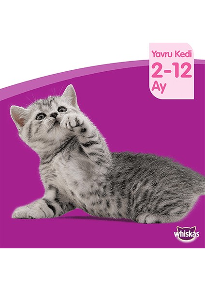 Pouch Multipack Yavru Kedi Etli Konserve Mama Çeşitleri 4 x 100 gr modelleri