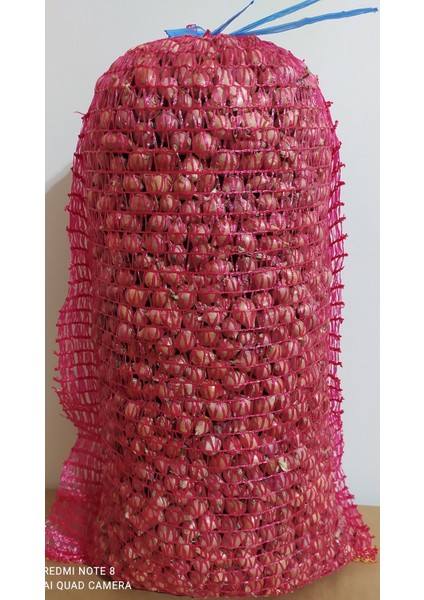 Soğan Tohumu Arpacık-Kıska 5 kg fiyatları