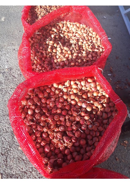 Soğan Tohumu Arpacık-Kıska 5 kg modelleri