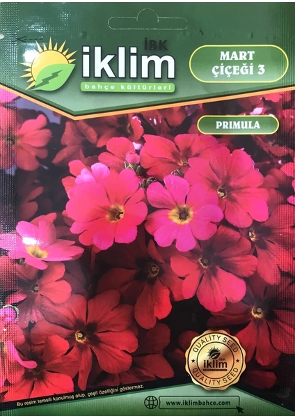 Karahasanoğlu Tarım Mart Çiçeği Çiçek Tohumu 3 - Primula Acaulis (~ Takribi 30 Tohum)