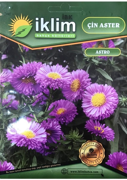 Çin Aster Çiçek Tohumu - Callistephus Chinensis (~ Takribi 40 Tohum)