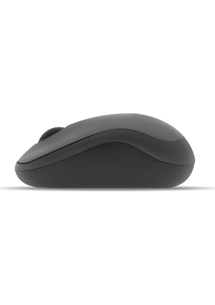 PSWM11 Kablosuz Sessiz Mouse