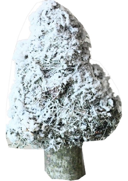 Yılbaşı Gri Karlı Ağaç Dekor Süs 25 cm